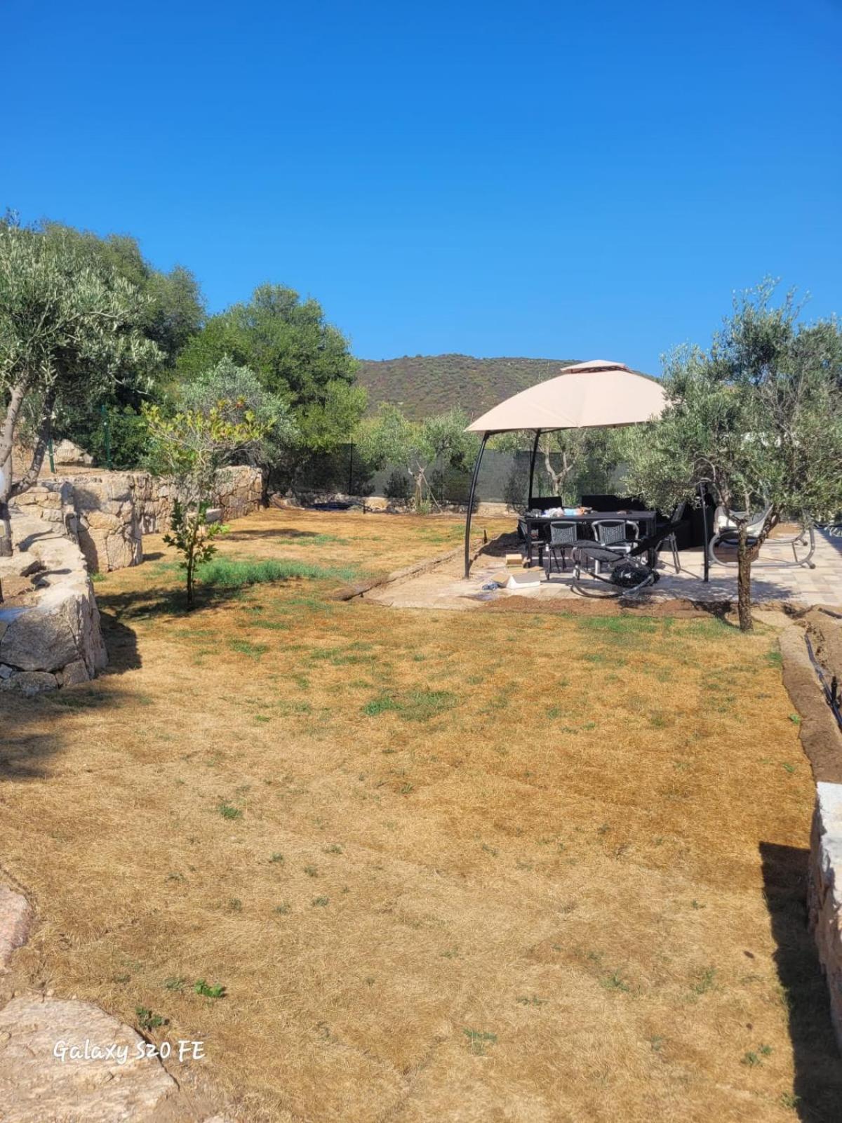 Ferienwohnung Residenza Degli Ulivi Olbia Exterior foto