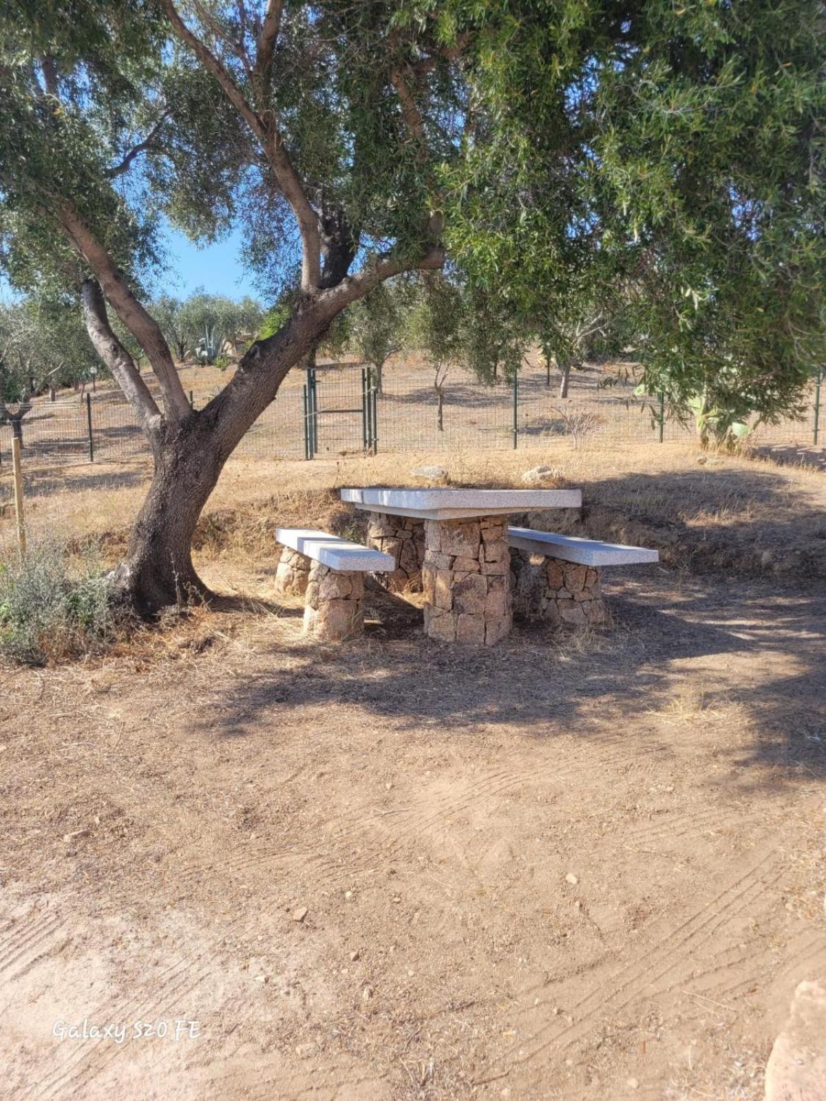 Ferienwohnung Residenza Degli Ulivi Olbia Exterior foto